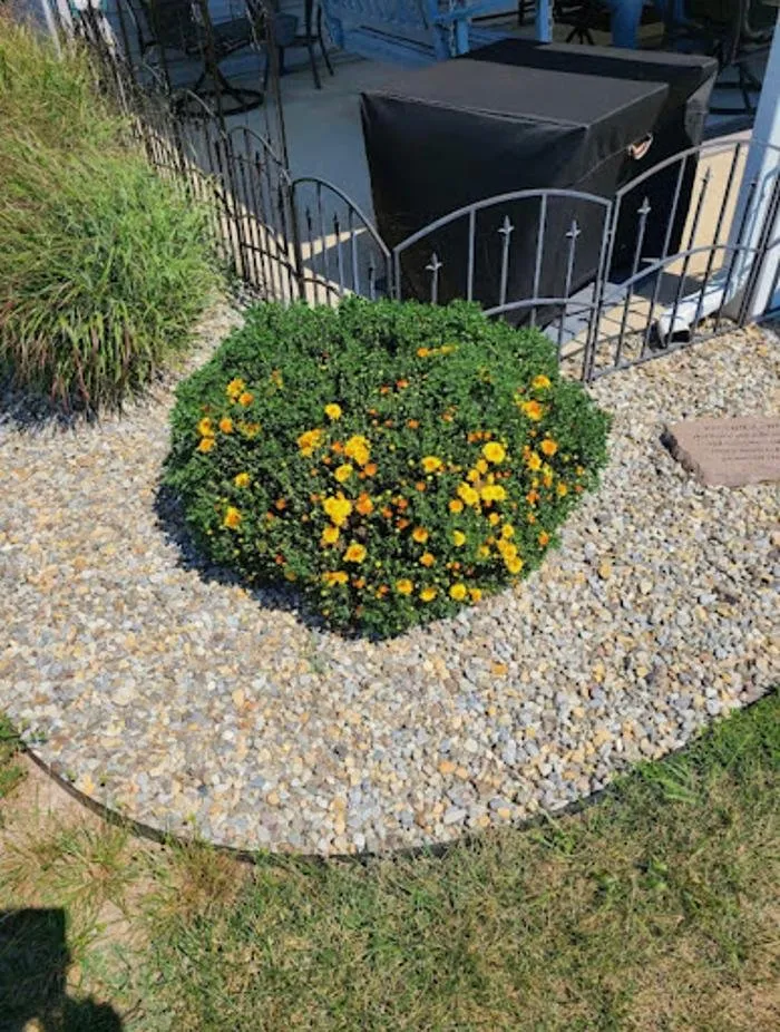 Top-rated yard cleanup service for homes across Georgetown, DE - La Playa Services