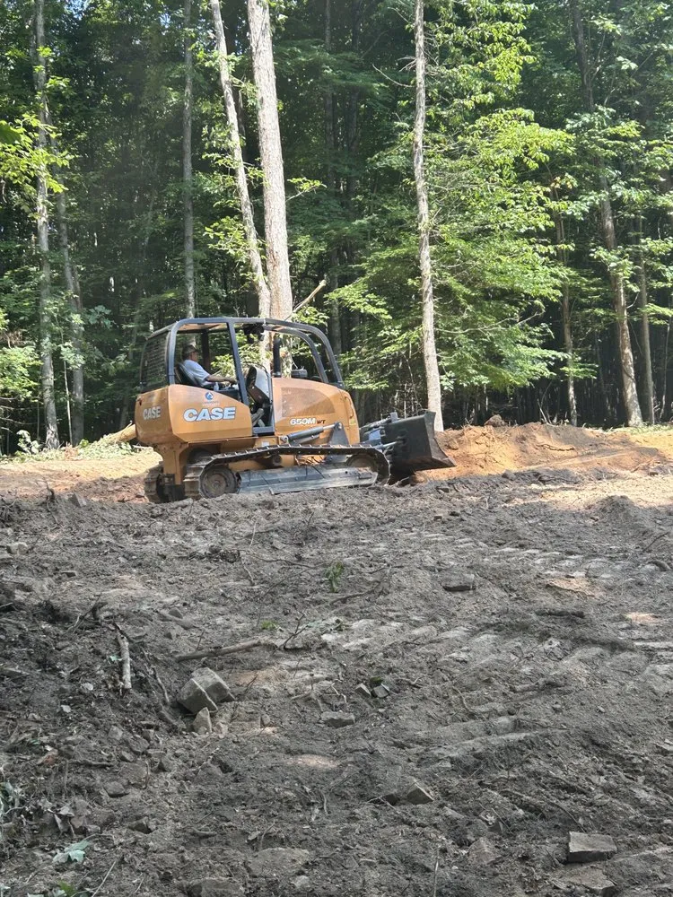 Reliable yard cleanup service experts serving Ivanhoe, VA - La Property Maintenance