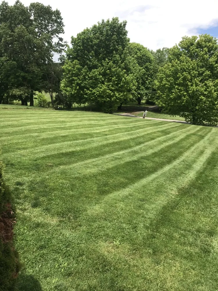 Top-rated garden landscaping in Ivanhoe, VA - La Property Maintenance