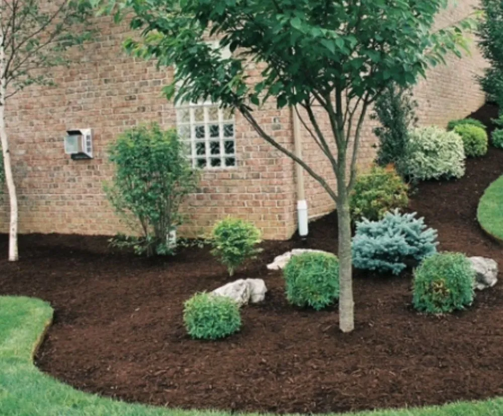 Top-rated outdoor landscaping experts serving Ivanhoe, VA - La Property Maintenance