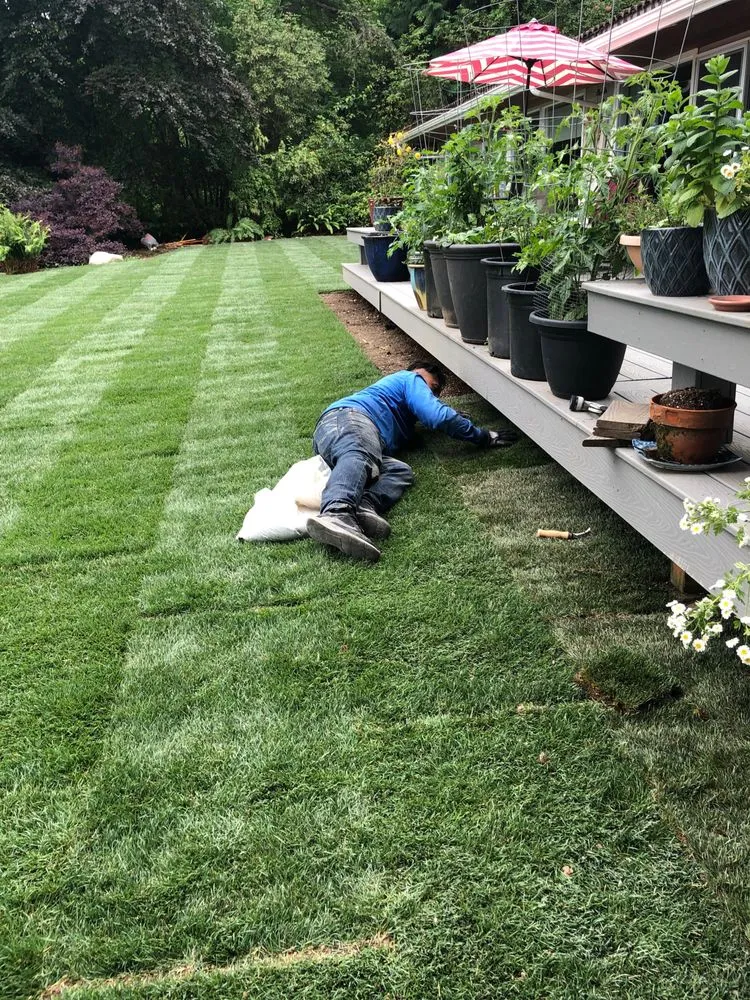 Top-rated outdoor landscaping experts serving Federal Way, WA - La Raza Landscaping