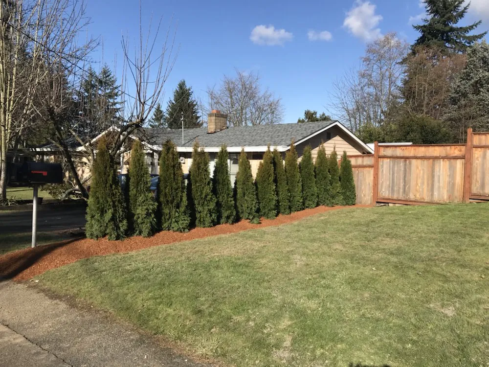 Affordable landscape design in Federal Way, WA - La Raza Landscaping