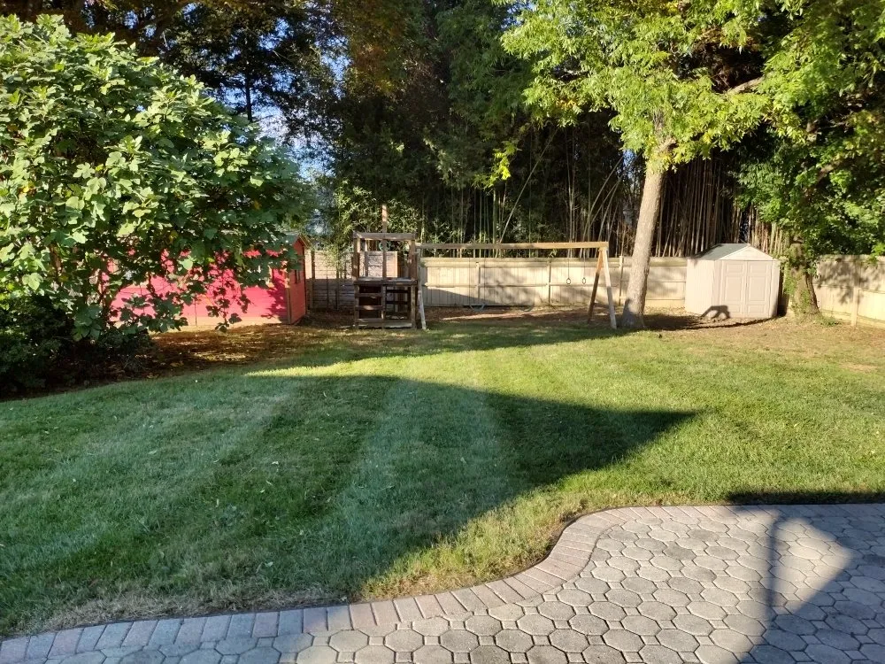 Affordable residential landscaping in Alexandria, VA by La Roca Landscape