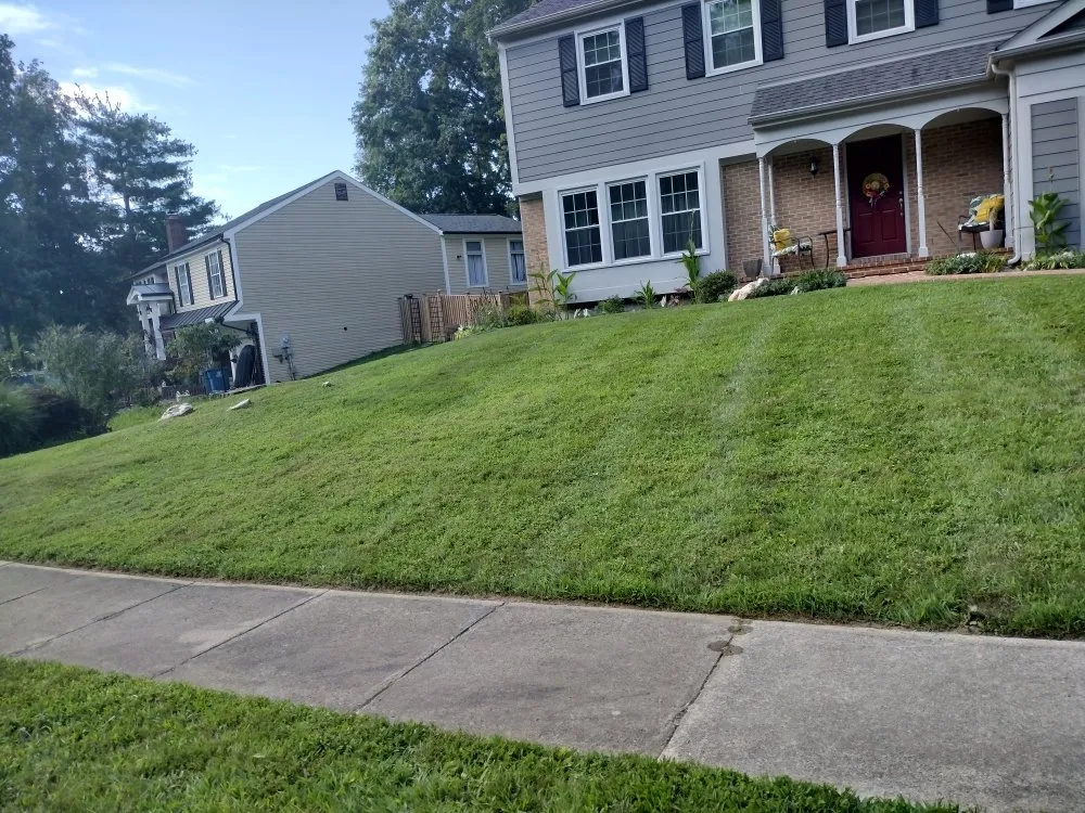 Expert lawn care service with custom design in Alexandria, VA by La Roca Landscape