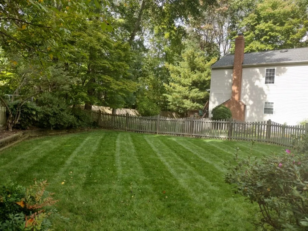 Reliable landscape installation in Alexandria, VA by La Roca Landscape