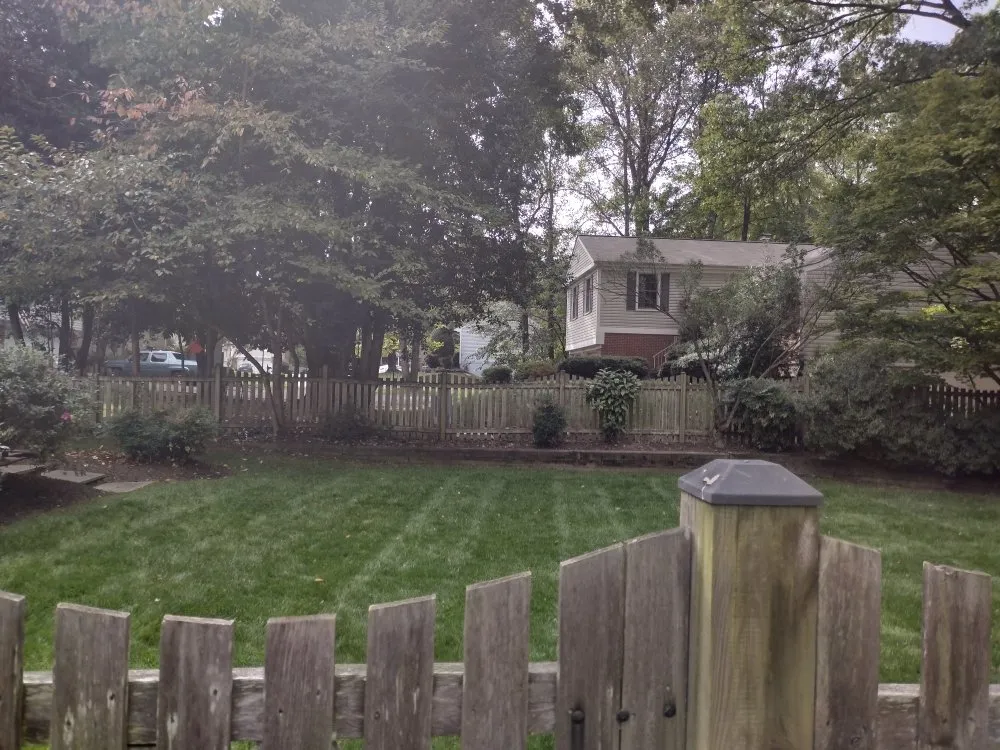 Custom residential landscaping for year-round maintenance in Alexandria, VA by La Roca Landscape