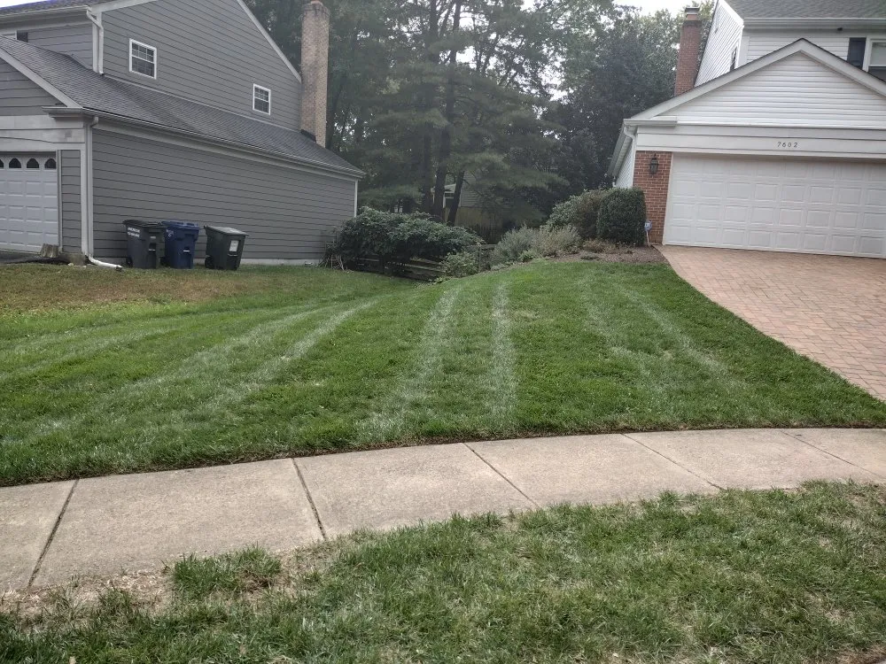 Top-rated yard cleanup service near you in Alexandria, VA by La Roca Landscape