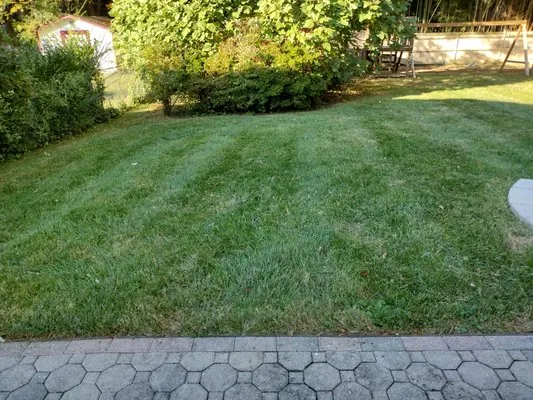 La Roca Landscape Logo