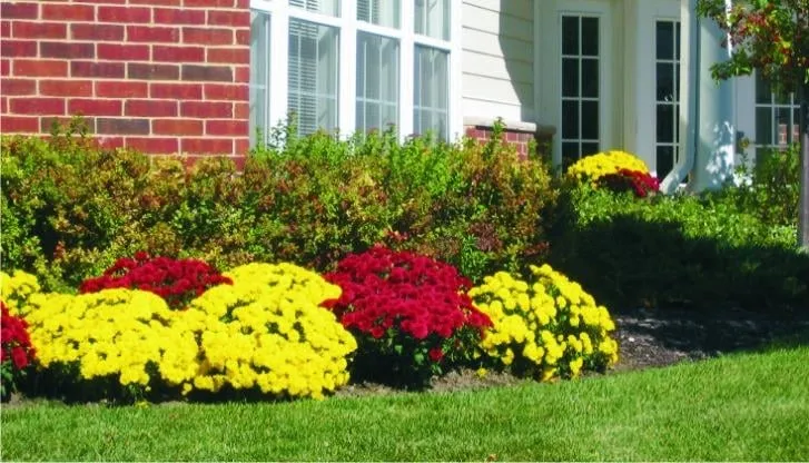 Professional lawn care service experts serving Cedarburg, WI - La Rosa Landscape Company