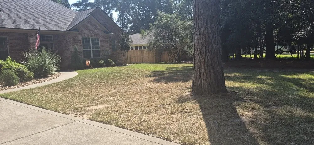 Expert landscaping services for beautiful yards across Conroe, TX - La Rose lawn & Landscaping