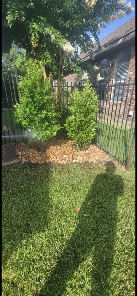 Top-rated landscaping services in Conroe, TX by La Rose lawn & Landscaping