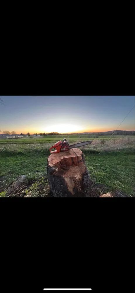 Expert yard maintenance in Park Hills, MO by L.A. Scape’s