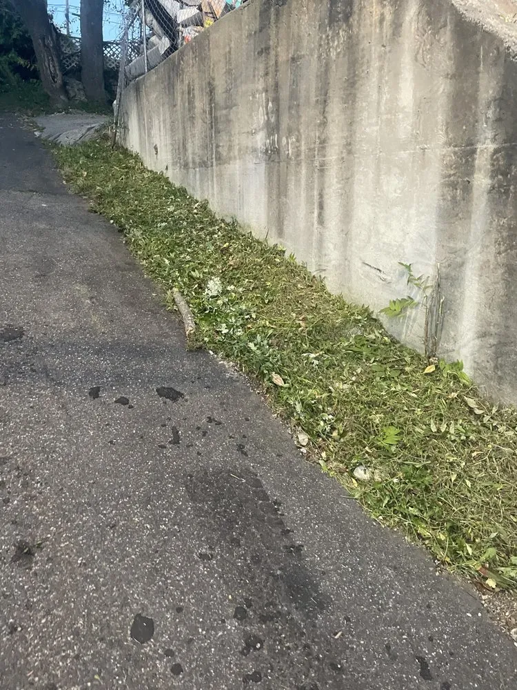 Custom outdoor landscaping experts serving Waterbury, CT - LA Scapes