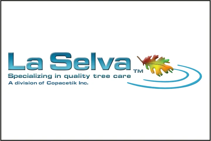 Custom landscape installation experts serving Santa Cruz, CA - La Selva Tree Care