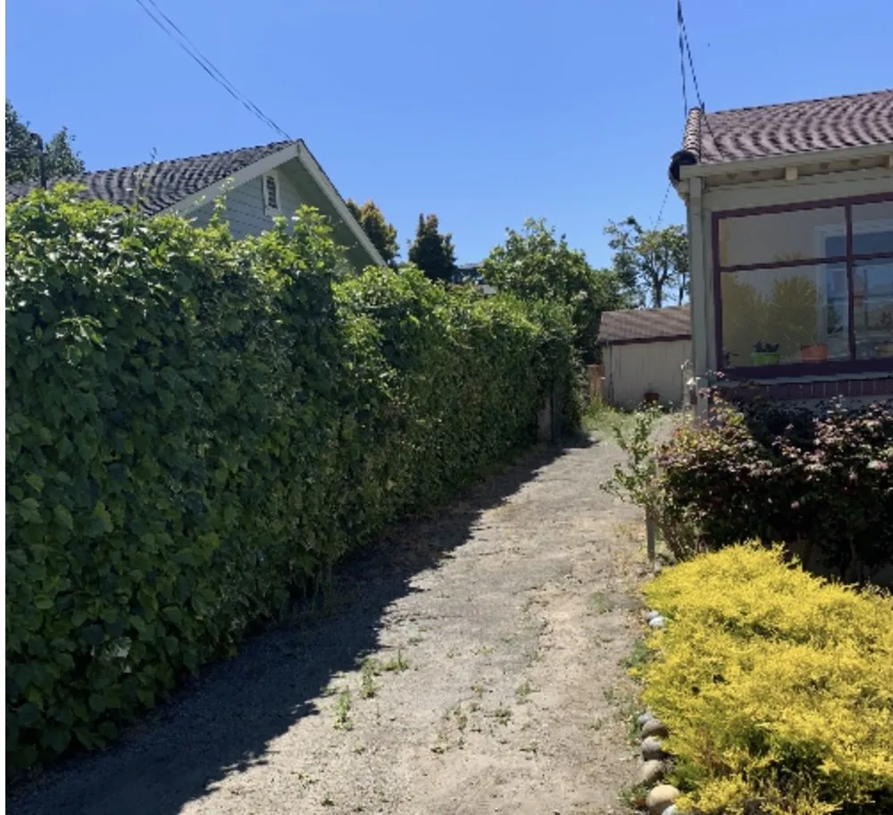 Trusted residential landscaping experts serving Santa Cruz, CA - La Selva Tree Care