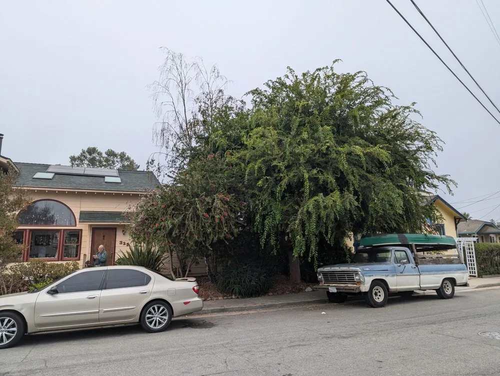 Affordable lawn mowing service with custom design across Santa Cruz, CA - La Selva Tree Care