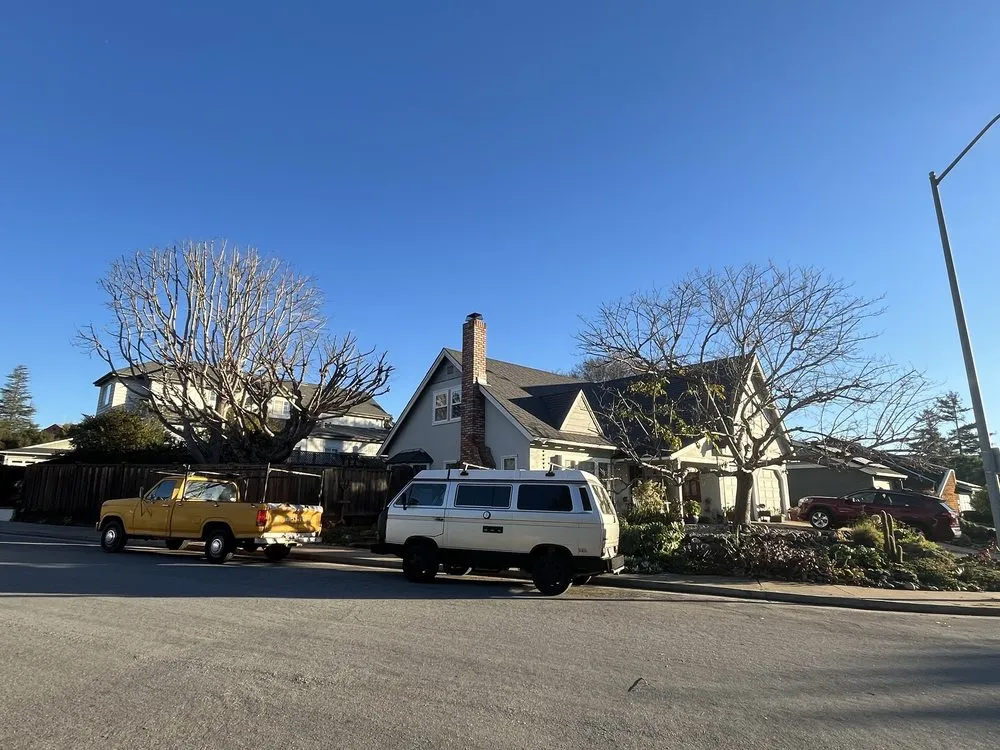 Expert yard cleanup service in Santa Cruz, CA by La Selva Tree Care