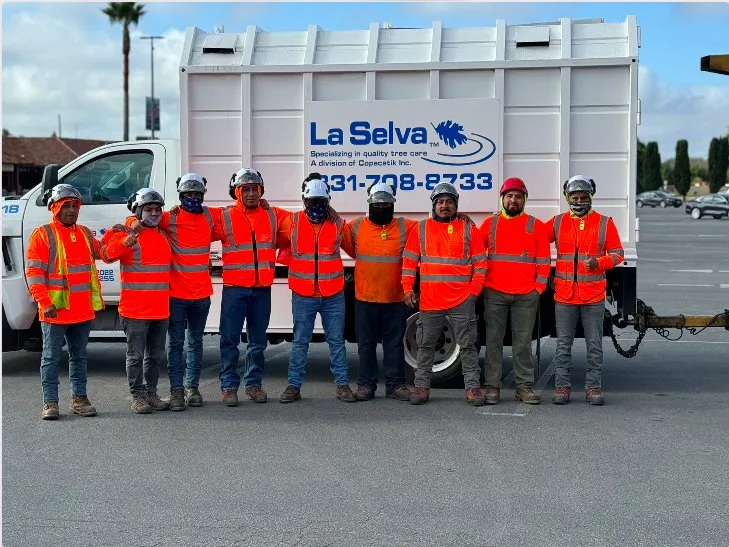 Reliable garden landscaping for outdoor upgrades across Santa Cruz, CA - La Selva Tree Care