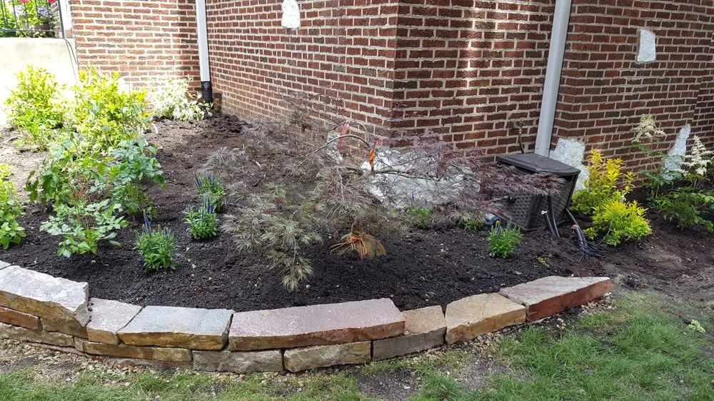 Reliable landscaping services in Chicago, IL - LA Services