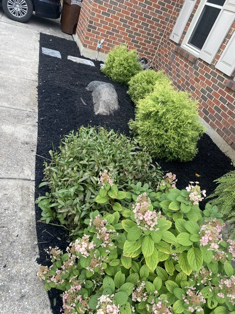 Affordable outdoor landscaping in Hamilton, OH - LA Services