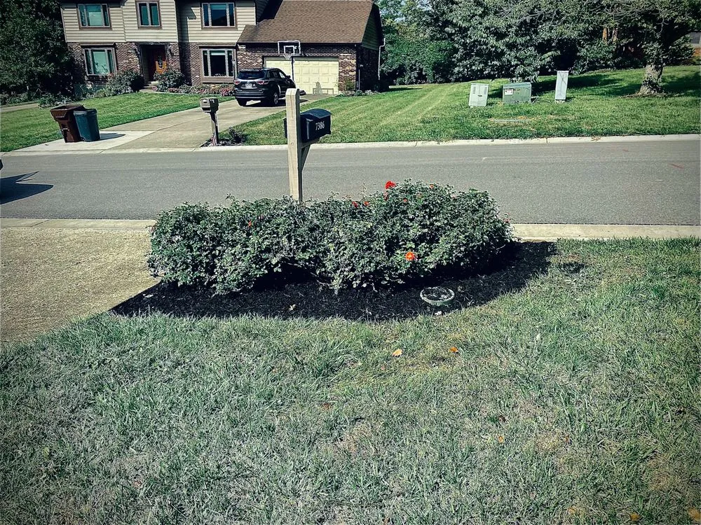 Local yard maintenance in Hamilton, OH - LA Services