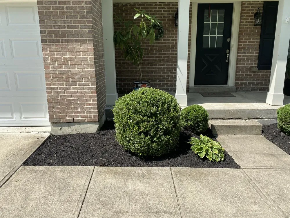 Expert yard cleanup service in Hamilton, OH - LA Services