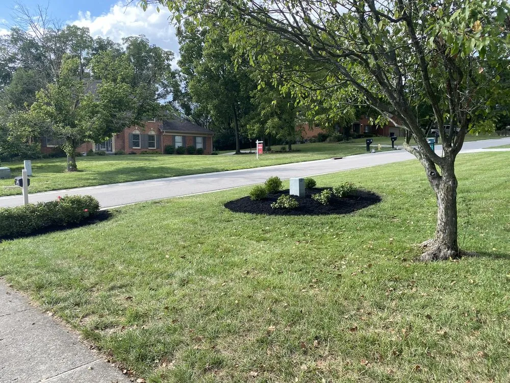 Professional outdoor landscaping for beautiful yards across Hamilton, OH - LA Services