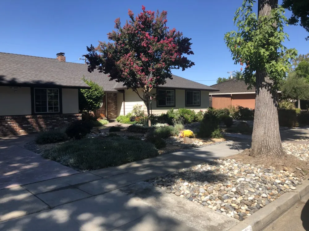 Top-rated landscaping services experts serving San Martin, CA - La Sierra Quality Landscape