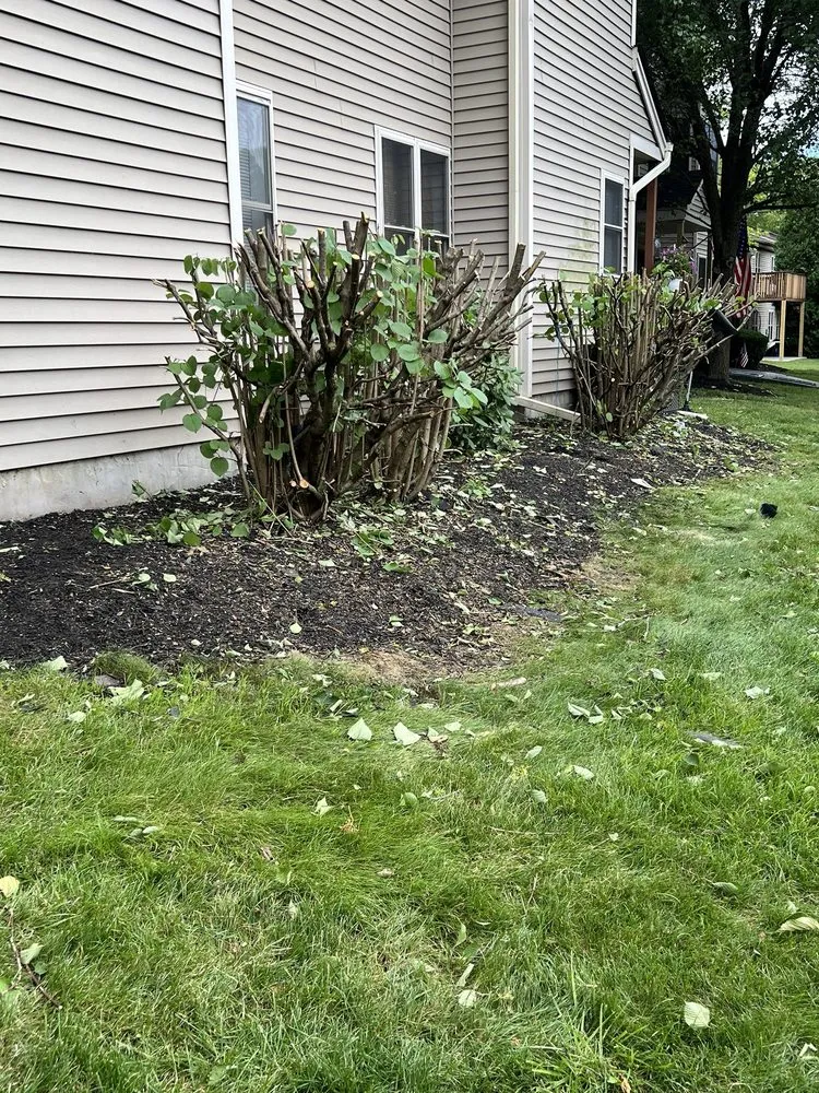 Top-rated landscape design for beautiful yards across Ossining, NY - La Teja Contractors & Landscaping