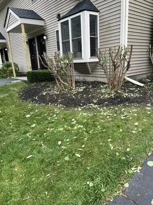 La Teja Contractors & Landscaping Logo