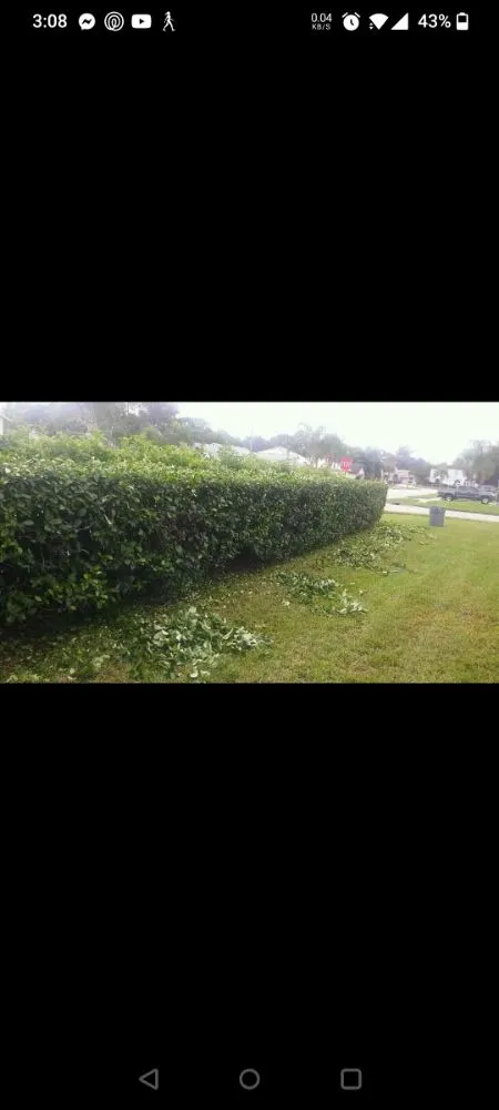 Professional residential landscaping in Port Richey, FL - LA Tree Service & Landscaping