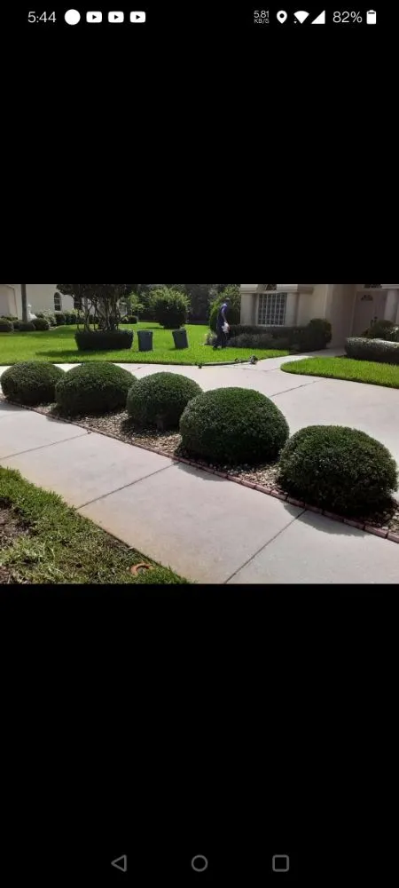 Expert yard maintenance for homes across Port Richey, FL - LA Tree Service & Landscaping