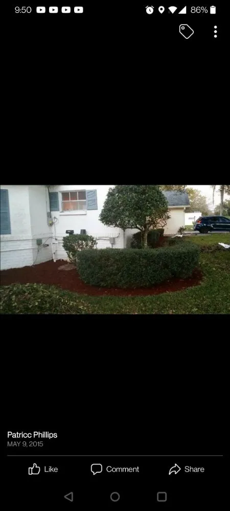 Top-rated garden landscaping experts serving Port Richey, FL - LA Tree Service & Landscaping