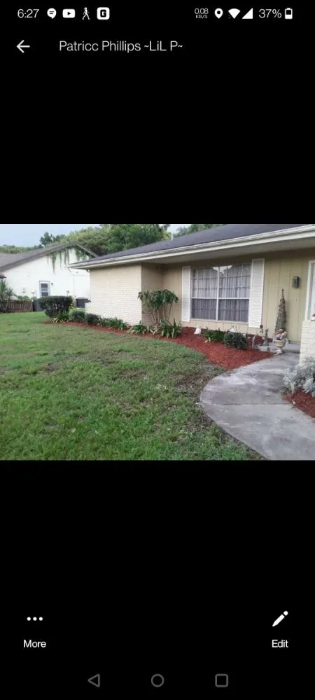 Professional garden landscaping for residential properties in Port Richey, FL by LA Tree Service & Landscaping