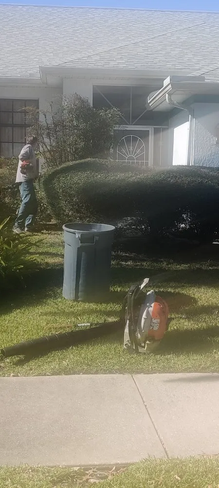 Local landscape design experts serving Port Richey, FL - LA Tree Service & Landscaping