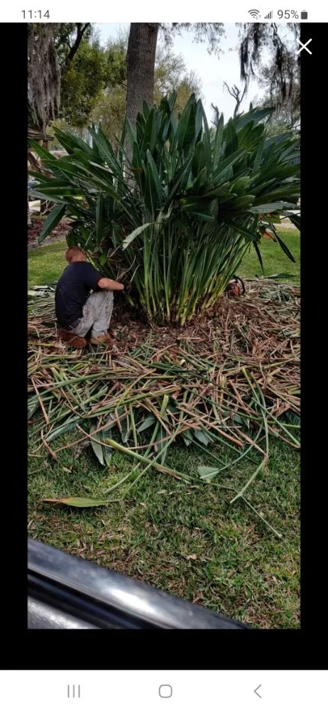 Expert landscaping services experts serving Port Richey, FL - LA Tree Service & Landscaping