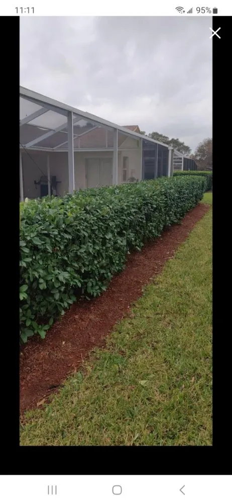 Professional yard maintenance in Port Richey, FL - LA Tree Service & Landscaping