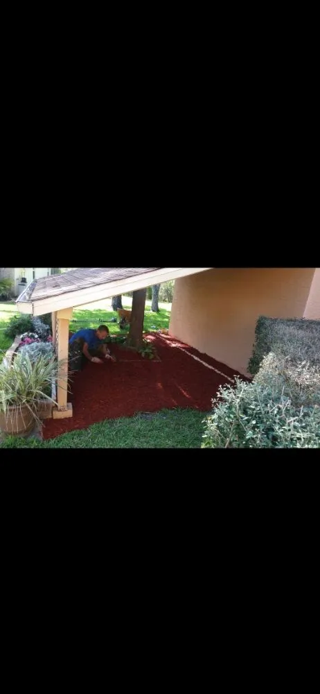 Affordable yard cleanup service in Port Richey, FL by LA Tree Service & Landscaping