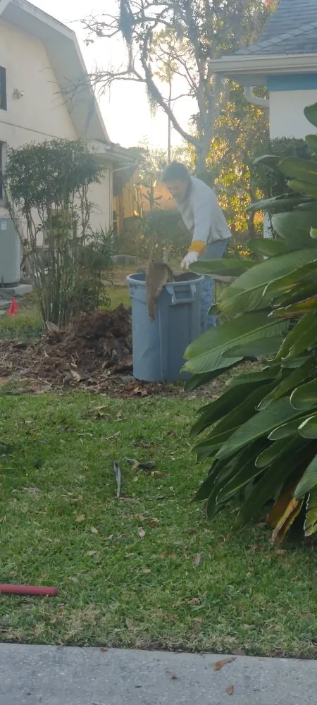 Trusted residential landscaping for residential properties across Port Richey, FL - LA Tree Service & Landscaping