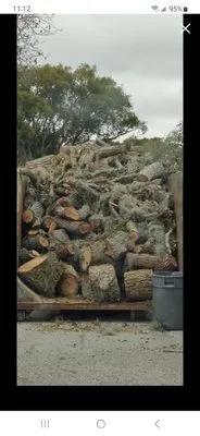 LA Tree Service & Landscaping Logo