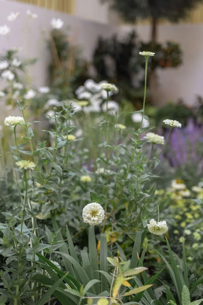 Affordable landscape installation in Birmingham, AL - La Vida Landscapes