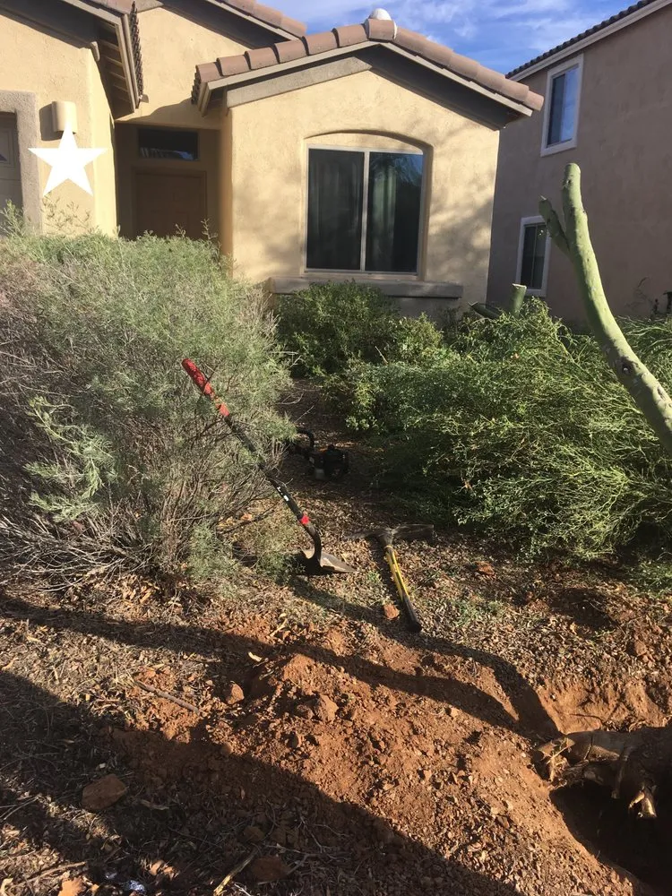 Expert residential landscaping for residential properties across Sahuarita, AZ - La Villita Landscaping