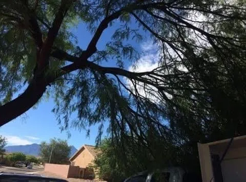 Trusted outdoor landscaping with custom design in Sahuarita, AZ by La Villita Landscaping