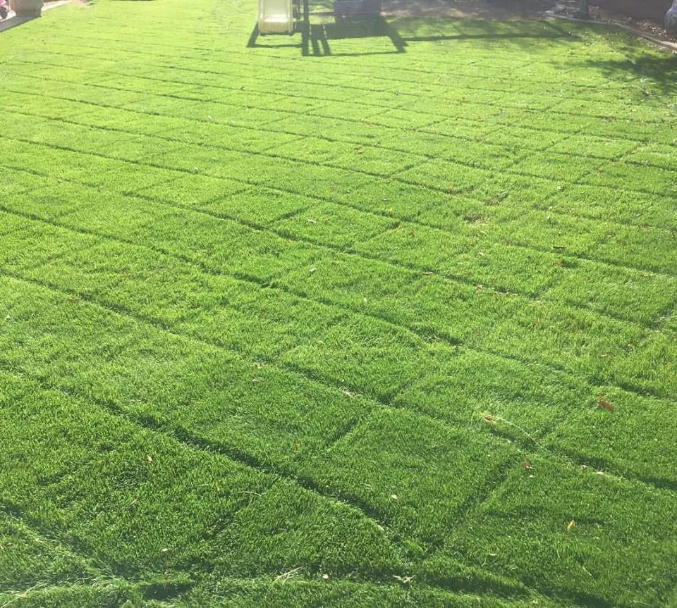 Expert landscape design in Sahuarita, AZ by La Villita Landscaping