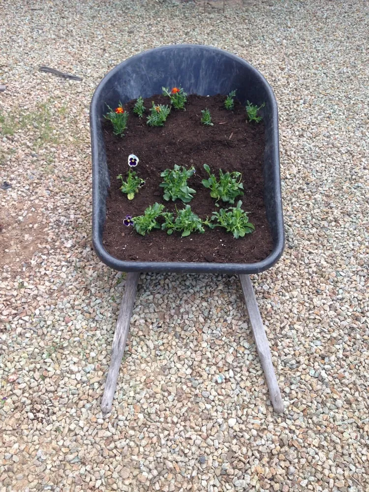 Local landscaping services experts serving Sahuarita, AZ - La Villita Landscaping