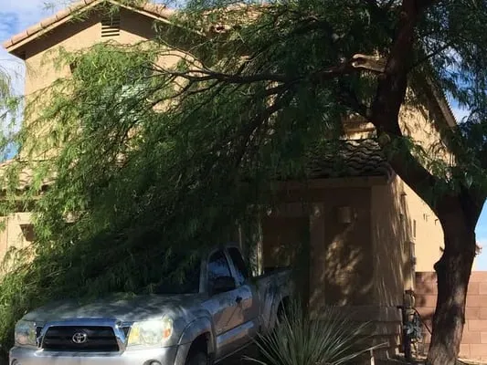 La Villita Landscaping