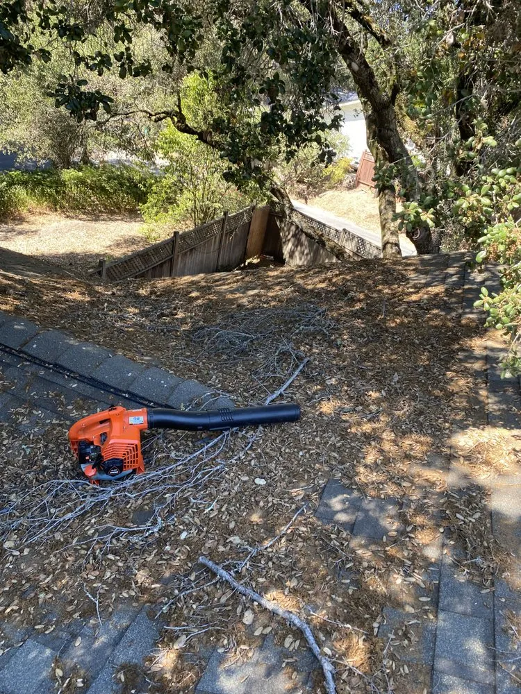 Top-rated landscape design in Watsonville, CA by La Villita Landscaping