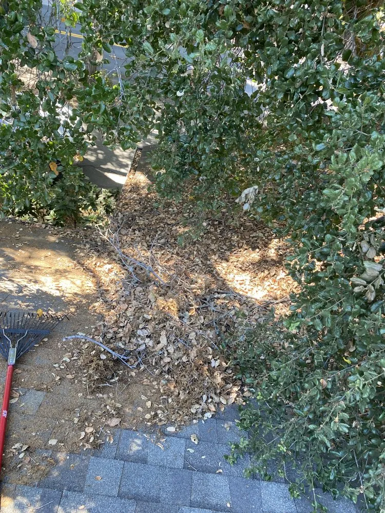 Professional garden landscaping in Watsonville, CA - La Villita Landscaping