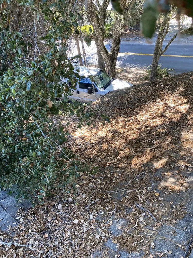 Expert yard maintenance in Watsonville, CA - La Villita Landscaping