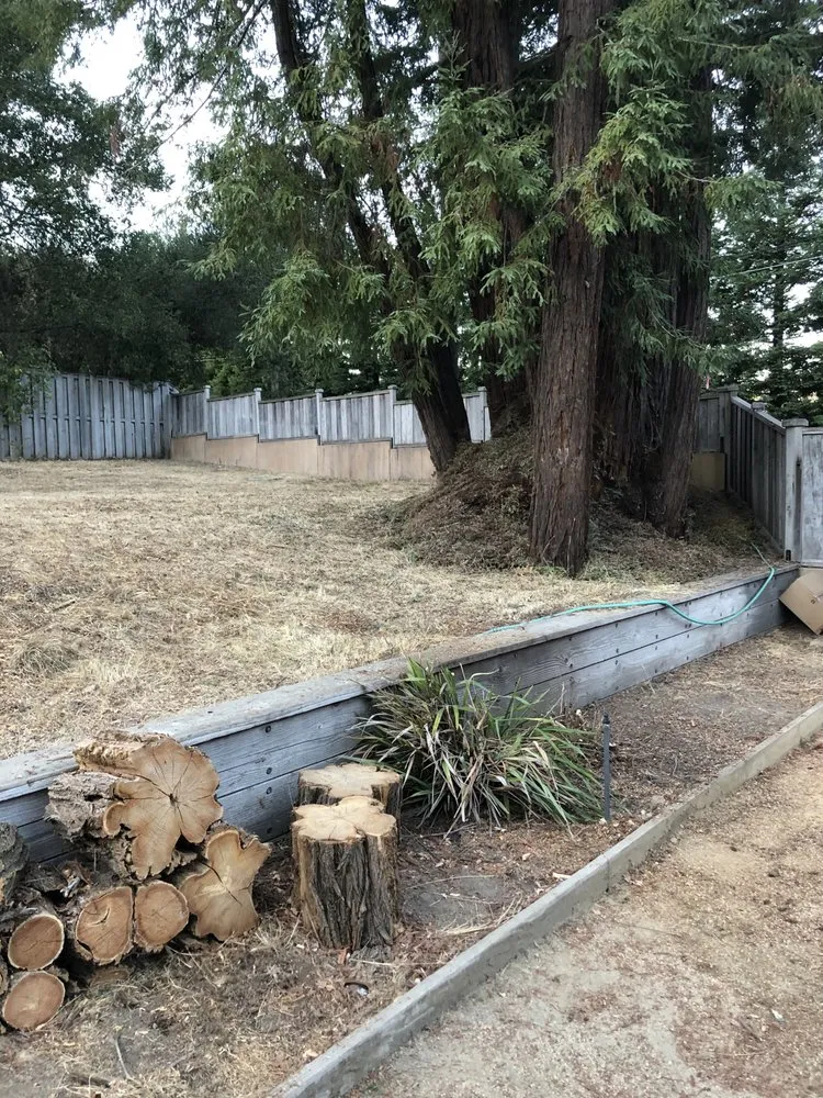Local yard maintenance in Watsonville, CA by La Villita Landscaping